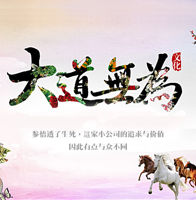 大道无为-参悟透了生死，这家小公司的价值和追求就有所不同